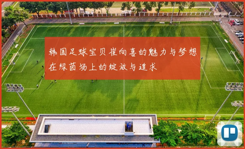 韩国足球宝贝崔向喜的魅力与梦想在绿茵场上的绽放与追求