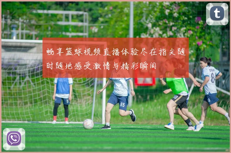 畅享篮球视频直播体验尽在指尖随时随地感受激情与精彩瞬间